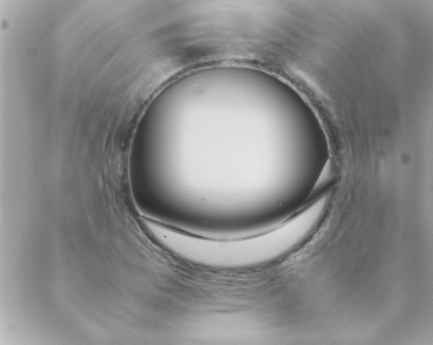 X0000088621169200706151845