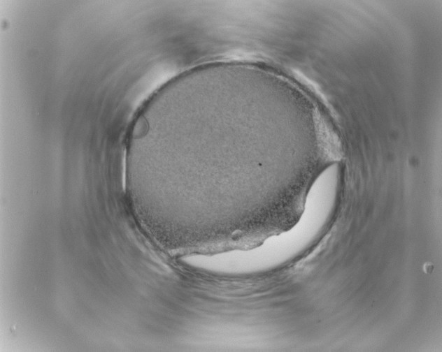 X0000088621171200706151845