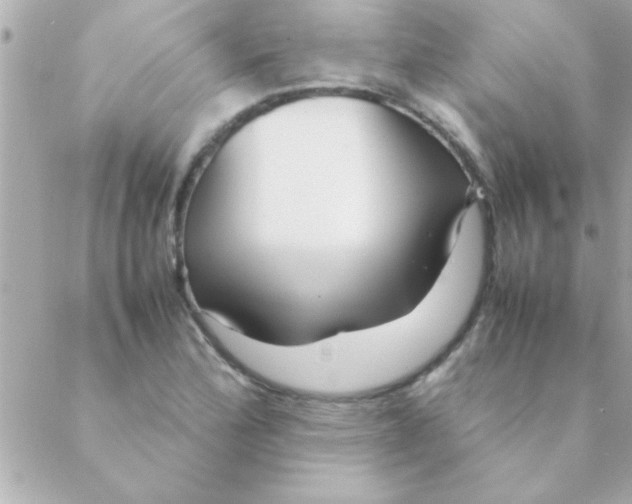 X0000088621172200706151845