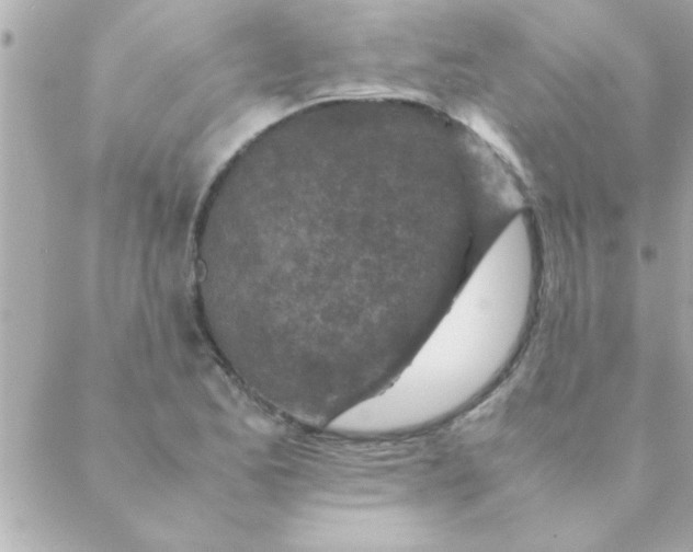 X0000088621173200706151845