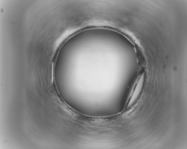 X0000088621175200706151845