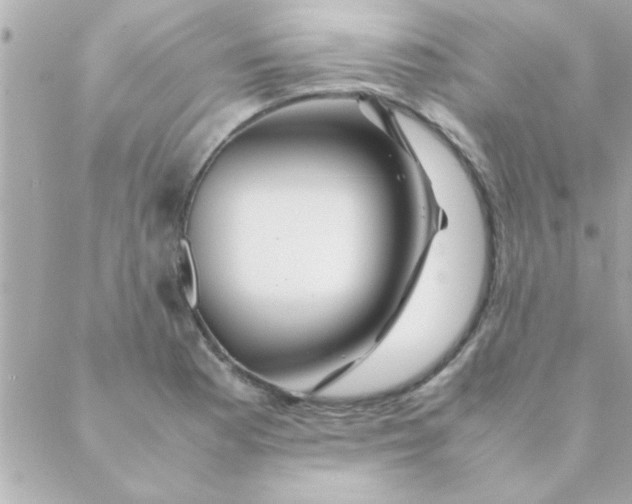 X0000088621177200706151844