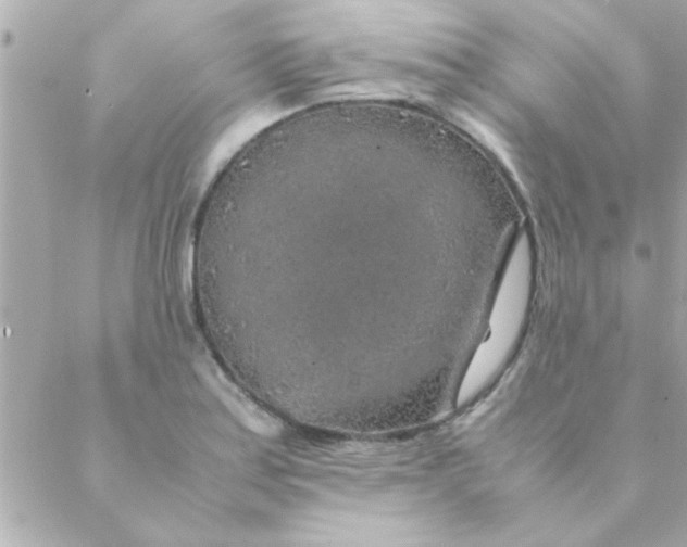 X0000088621179200706151844