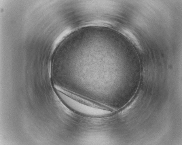 X0000088621180200706151844