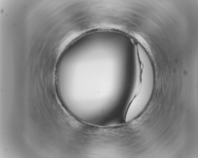 X0000088621183200706151844