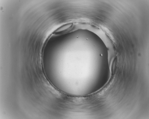 X0000088621184200706151844