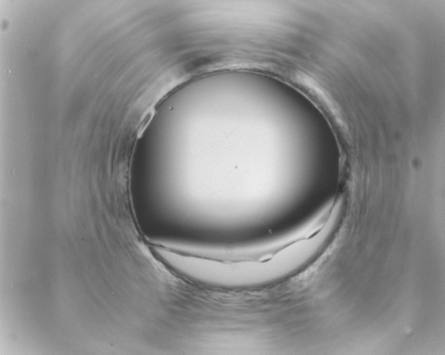 X0000088621185200706151844