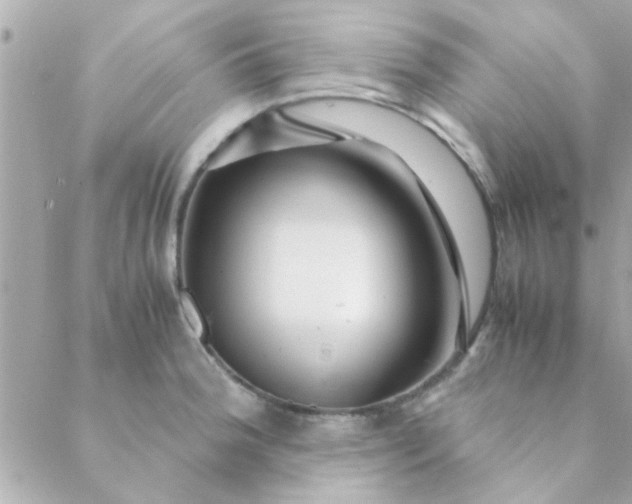 X0000088621188200706151844