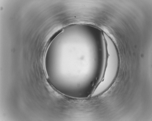 X0000088621189200706151844