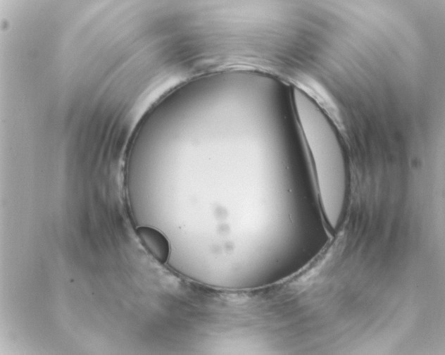 X0000088621190200706151844