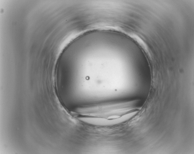 X0000088621191200706151844