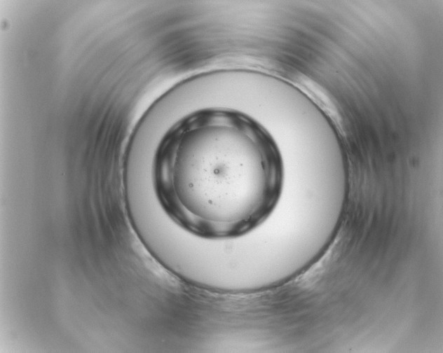 X0000088621192200706151844