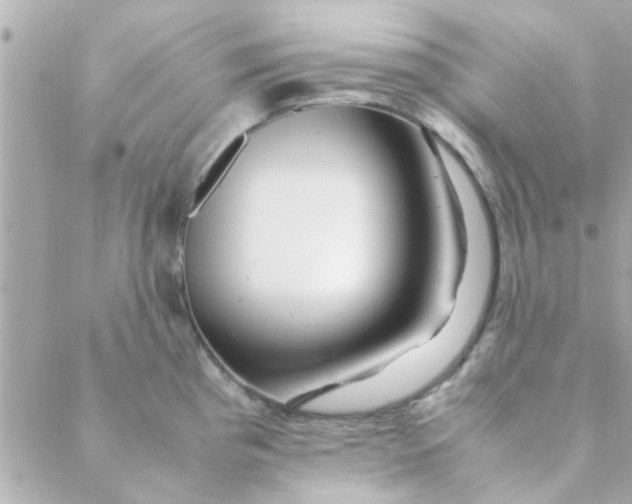 X0000088621193200706151844