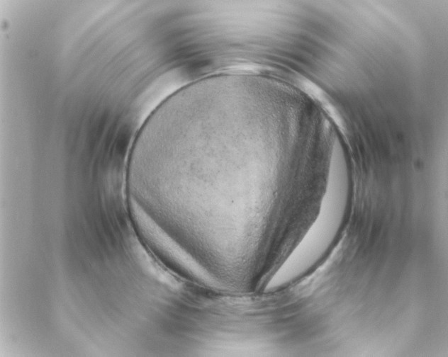 X0000088621194200706151844