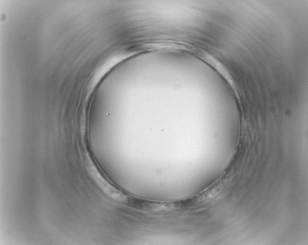 X0000088621195200706151844