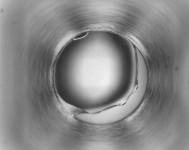 X0000088621196200706151844