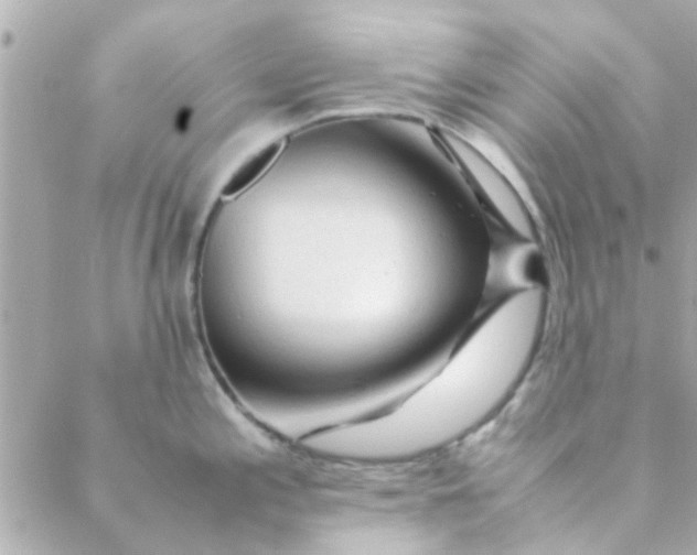 X0000088621197200706151844