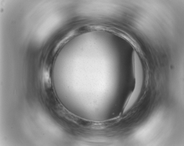 X0000088621198200706151844