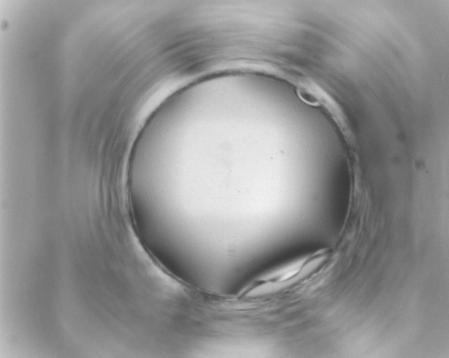 X0000088621199200706151844