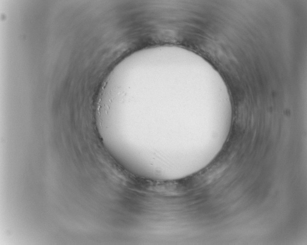 X0000088621201200706151843