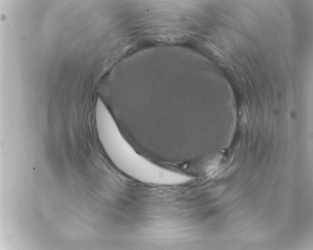 X0000088621202200706151843