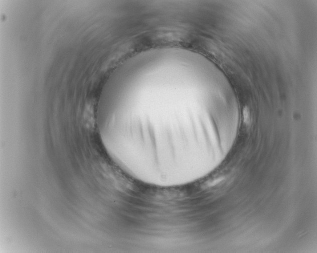 X0000088621203200706151843