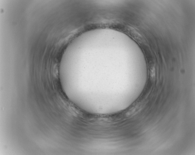 X0000088621204200706151843