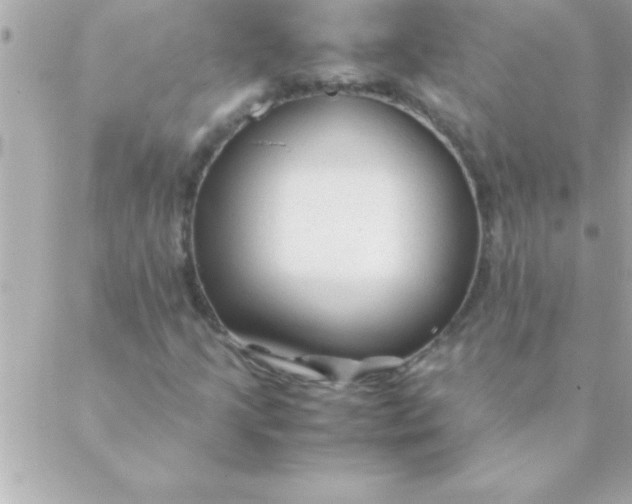 X0000088621205200706151843