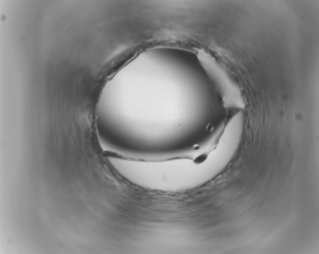 X0000088621206200706151843