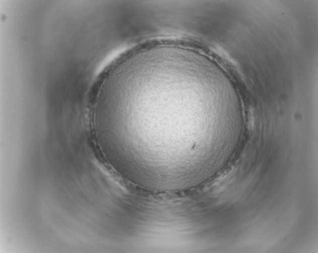 X0000088621208200706151843