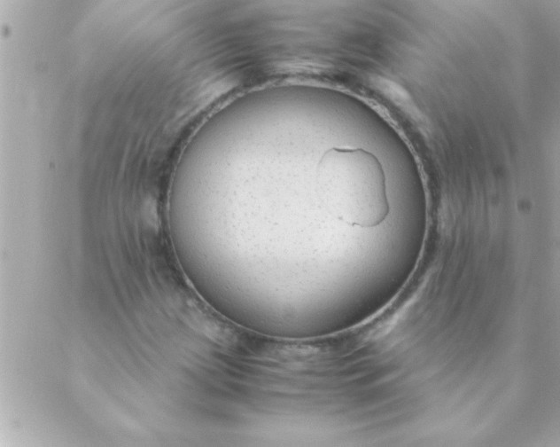 X0000088621209200706151843