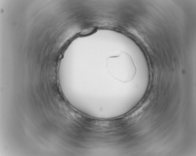 X0000088621211200706151844