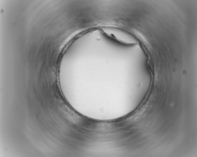 X0000088621212200706151844