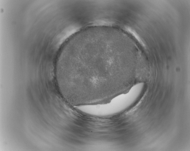 X0000088621213200706151844