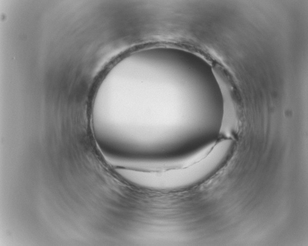 X0000088621214200706151844