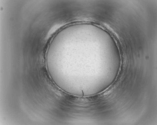 X0000088621215200706151844