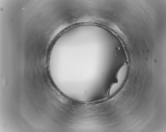 X0000088621216200706151844