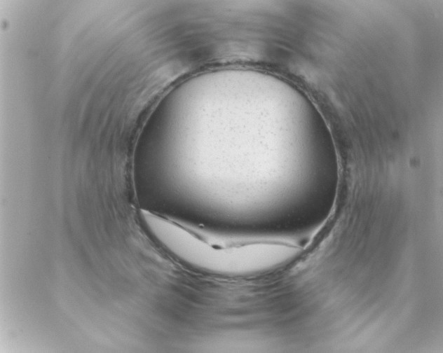 X0000088621217200706151844