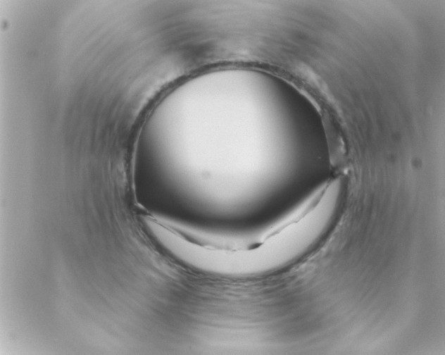 X0000088621218200706151844