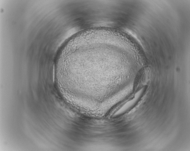 X0000088621219200706151844