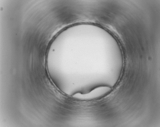 X0000088621220200706151844