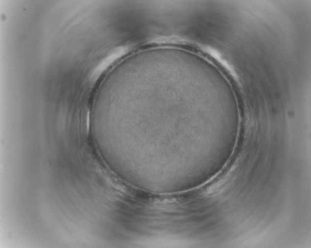 X0000088621221200706151844