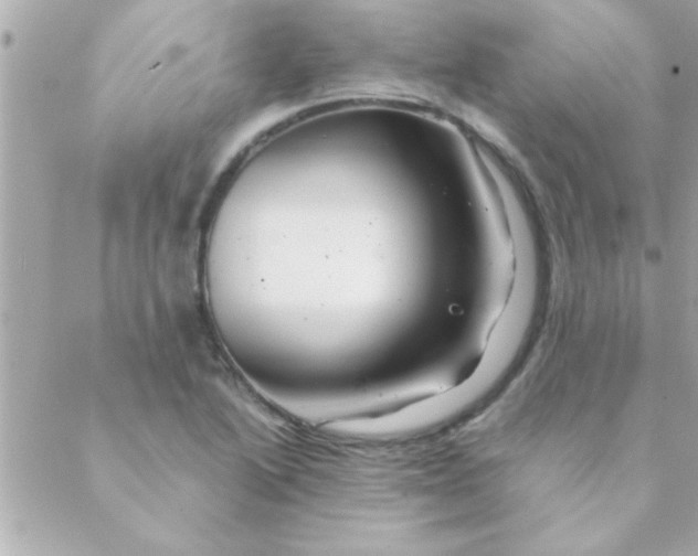 X0000088621222200706151844