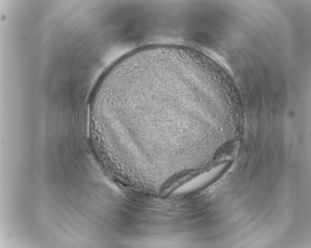 X0000088621223200706151844