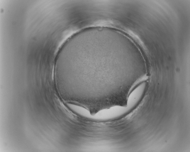 X0000088621224200706151844