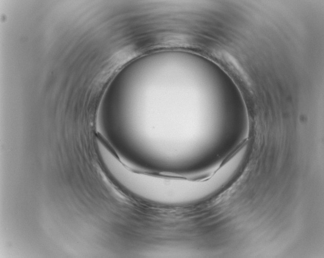 X0000088621225200706151844