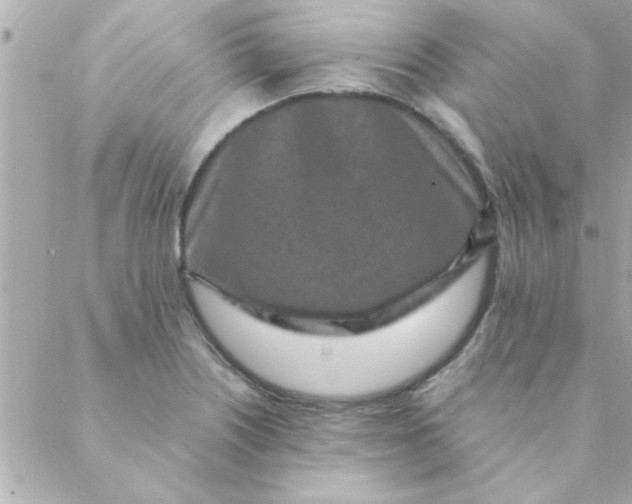 X0000088621226200706151844