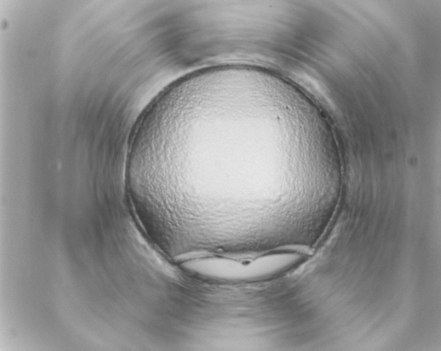 X0000088621228200706151844