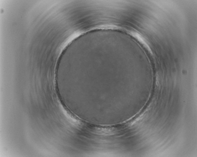 X0000088621229200706151844