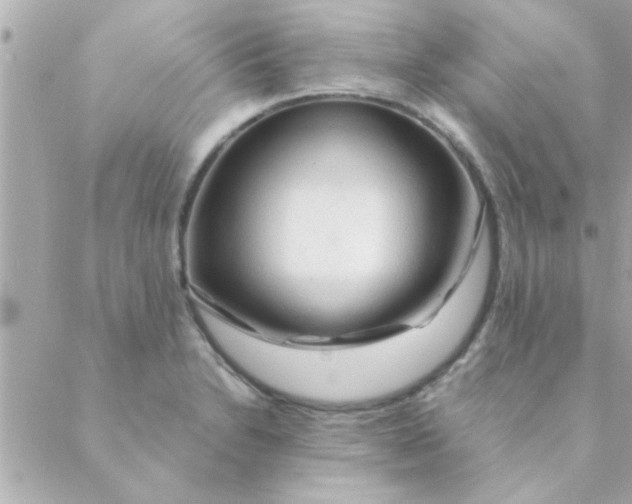 X0000088621230200706151844